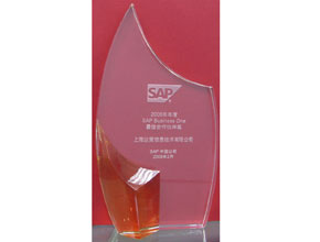SAP Business One 最佳業(yè)績(jī)貢獻(xiàn)獎(jiǎng)