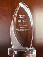 SAP Business One 最佳業(yè)績(jī)貢獻(xiàn)獎(jiǎng)