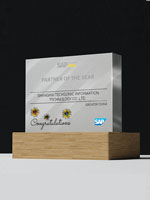 SAP Business One 最佳業(yè)績(jī)貢獻(xiàn)獎(jiǎng)