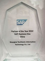 SAP Business One 最佳業(yè)績(jī)貢獻(xiàn)獎(jiǎng)